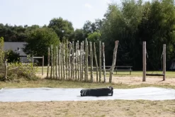 ESVO Bedouin 200 Piramidetent - 2 Persoons -Bo-Camp Winkel esvo bedouin 200 2 persoons 24